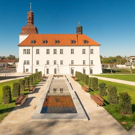 Chateau Clara Futura Dolni Brezany Εξωτερικό φωτογραφία