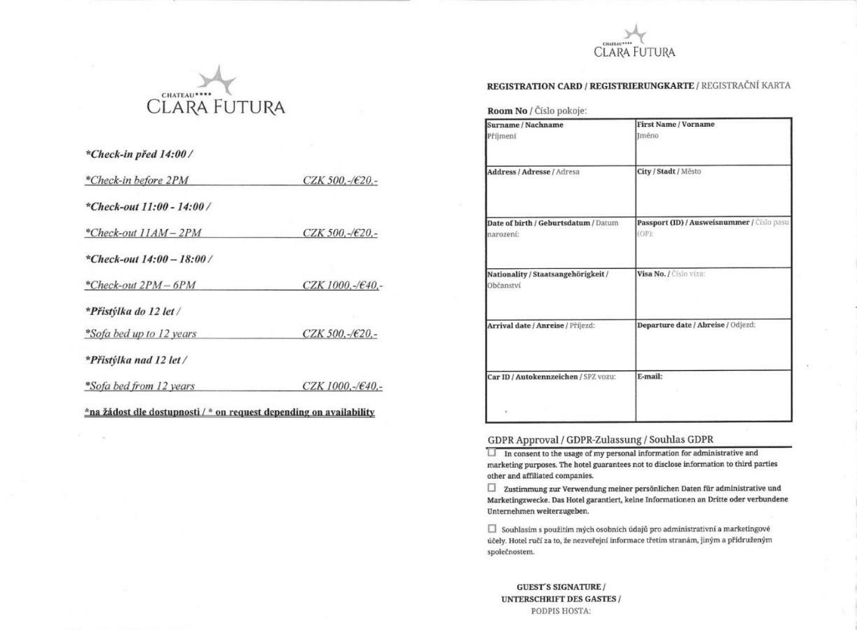 Chateau Clara Futura Dolni Brezany Εξωτερικό φωτογραφία